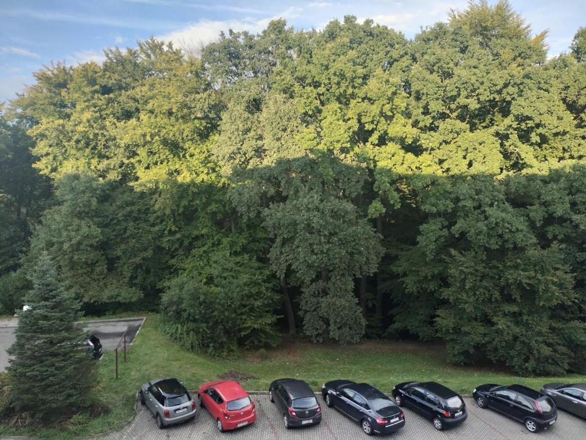 Nowoczesne Mieszkanie 63M2 Jastrzębie Zdrój Buitenkant foto
